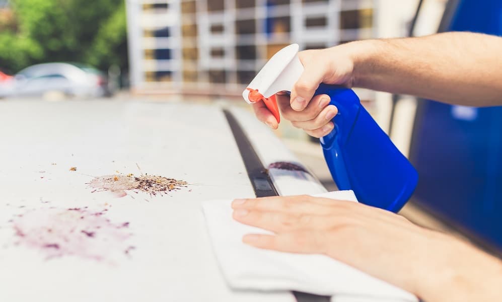 cleaning bird poop